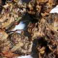 ☆tamacomb☆'s cooksnap of when they made 沖縄風もずくの天ぷら.