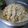 Ｓｈｉｅ's cooksnap of when they made 【保存食】えのき和ナムル【低カロリー】.
