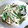 モコブーママ's cooksnap of when they made 蒸し鶏とごぼうのサラダ.