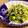 mikipower's cooksnap of when they made モロヘイヤとツナとオクラのサラダ.