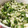 紗莉ママ's cooksnap of when they made 白だしで簡単！山形のだし.