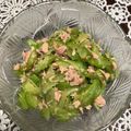 クックEAJNN4☆'s cooksnap of when they made 無限ゴーヤ・苦瓜サラダ中華風.