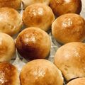クックUIJZQA☆'s cooksnap of when they made チョコパンHB☆ミニ.
