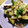 ふくふく517's cooksnap of when they made 牛肉となすとピーマンの甘辛しょう油炒め♪.