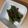 ラリー＆サラ's cooksnap of when they made 青唐辛子又はしし唐の味噌炒め.