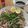 エイビーズ's cooksnap of when they made 日本蕎麦を圧力鍋で茹でましょう.