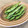ばぢこ's cooksnap of when they made いんげんのクミンシード炒め.
