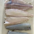 aosan7248's cooksnap of when they made 【お魚】簡単かんたん☆ヒラメのさばき方②.