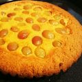 まいみずママ's cooksnap of when they made タルトはHMで簡単！葡萄のベイクドタルト.