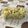 チューリップおばさん's cooksnap of when they made さつま芋バター煮.