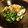 イシポン's cooksnap of when they made モロヘイヤとちくわの梅おかか和え.