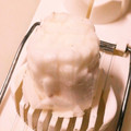 マーボーカレー's cooksnap of when they made 簡単♬長芋の細切り.