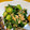 よち・ちーのすけママ's cooksnap of when they made モロヘイヤとツナとオクラのサラダ.
