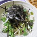 えみんちゅ＊'s cooksnap of when they made 大根ツナの海苔サラダ.