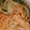 こびぃ。's cooksnap of when they made きゅうりとキムチのマヨネーズ和え.