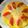 クック0U74SV☆'s cooksnap of when they made 簡単♪トマトのオープンチーズオムレツ.
