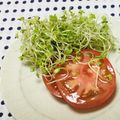 おはなすき's cooksnap of when they made トマトとスプラウトのさっぱりサラダ.