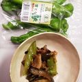 d1026m's cooksnap of when they made 豚肉茄子と甘とう美人の生姜焼き.