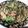 ころころ9コロン's cooksnap of when they made 豚キムチ納豆パスタ.