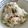 ペモコ's cooksnap of when they made 長芋のほくほくサラダ.