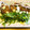 さすらい's cooksnap of when they made 今が旬★一番おいしい鰹のたたき★.