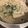 犬パン's cooksnap of when they made 簡単10分!豆乳もやし坦々スープ.