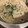 犬パン's cooksnap of when they made 簡単10分!豆乳もやし坦々スープ.