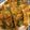 USACO66's cooksnap of when they made ニラとチーズのもっちり☆チヂミ.