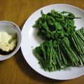 春小町's cooksnap of when they made こごみのワサビマヨネーズ添え.