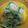 あゆたっくん's cooksnap of when they made 簡単！チンゲン菜とえのきのお浸し.