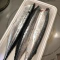 ちまこさん's cooksnap of when they made さんまの捌き方〜簡単ハラワタ取り〜.