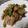 クックZVL9NR☆'s cooksnap of when they made 簡単！茄子ピーマンと豚肉の生姜炒め.