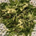 ForestGump's cooksnap of when they made ケールサラダ.