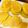 ぱくぱくちーか's cooksnap of when they made 離乳食かぼちゃフレークで豆腐ホットケーキ.