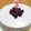 雷光駿's cooksnap of when they made ローカーボ＊ベリーとレモンのムースケーキ.
