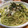 美緒玲＠女子力アップ's cooksnap of when they made 岩のりときのこの和風パスタ.
