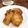 クック15FFG6☆'s cooksnap of when they made フレンチトースト.