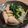 クック37U2M9☆'s cooksnap of when they made 定番♪小松菜とがんもの煮物^ ^.