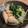 クック37U2M9☆'s cooksnap of when they made 定番♪小松菜とがんもの煮物^ ^.