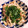 まいまいまいちん's cooksnap of when they made 簡単！もやしとちくわのめんつゆマヨ和え.