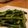 ラムベビー's cooksnap of when they made 長ネギとニンニクの芽ＤＥガーリック炒め★.