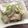 フジぽん's cooksnap of when they made セロリとりんごでしゃきしゃきサラダ.