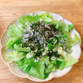 mikko6's cooksnap of when they made レタスとしらすの和風サラダ.