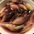 えるみちゃん's cooksnap of when they made 【農家のレシピ】みょうがの甘酢漬け.