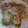 イプサム's cooksnap of when they made 豚肉ときゅうりの梅肉和え.