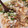 tamago大好き's cooksnap of when they made 大根おろしのせ☆たぬきご飯.