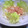 hachi123's cooksnap of when they made 新たまねぎとクリームチーズの和風サラダ.