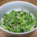 まゆピン's cooksnap of when they made 節約大根の葉炒め(♥◠‿◠)ﾉ.:*.:.
