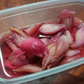 クックVOY1Q3☆'s cooksnap of when they made みょうがの甘酢漬け.