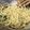 見返り美人さん's cooksnap of when they made 和風たらこマヨパスタ(*^▽^*).